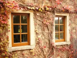 Fenster-mit-Herbststimmung