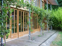 1-Holzfenster-Sanieren